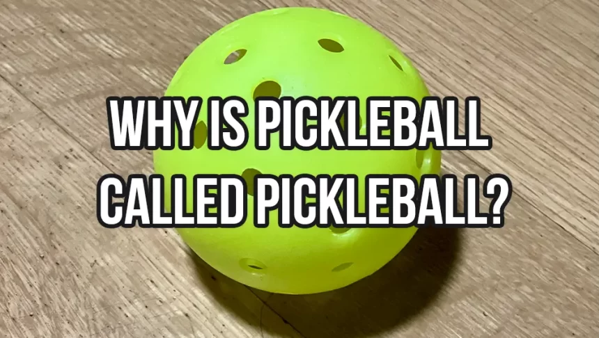 Unraveling the Origins: Why is Pickleball Called Pickleball?