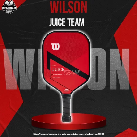 Wilson Juice Team Pickleball Paddle